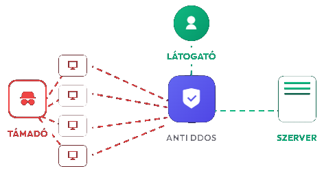 DDoS Protection